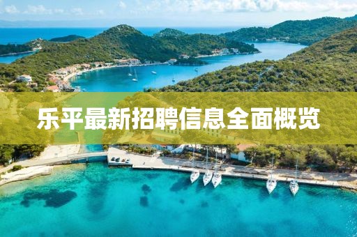 乐平最新招聘信息全面概览