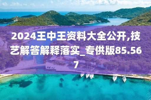 2024王中王资料大全公开,技艺解答解释落实_专供版85.567