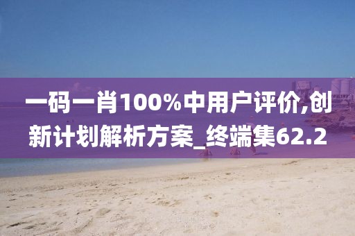 一码一肖100%中用户评价,创新计划解析方案_终端集62.2