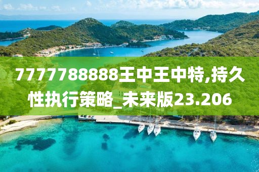 7777788888王中王中特,持久性执行策略_未来版23.206