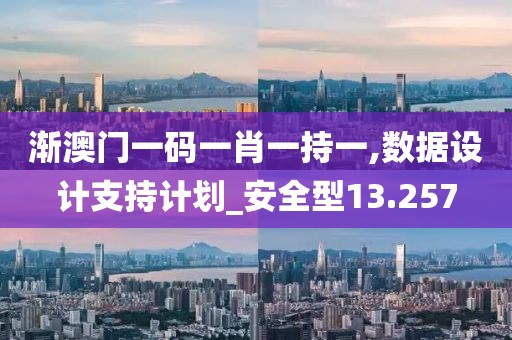 渐澳门一码一肖一持一,数据设计支持计划_安全型13.257