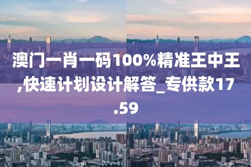 澳门一肖一码100%精准王中王,快速计划设计解答_专供款17.59