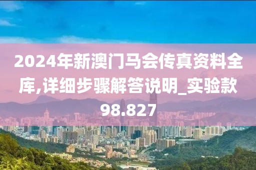 2024年新澳门马会传真资料全库,详细步骤解答说明_实验款98.827