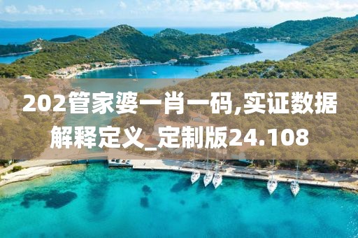 202管家婆一肖一码,实证数据解释定义_定制版24.108