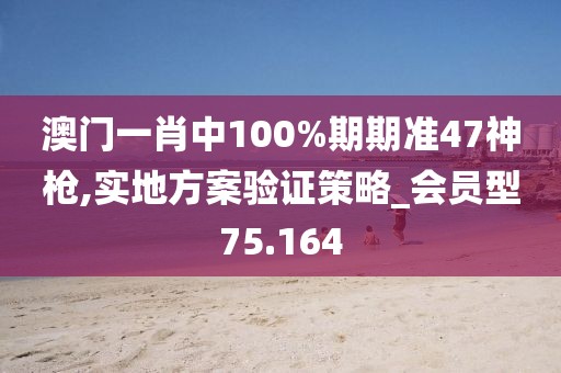 澳门一肖中100%期期准47神枪,实地方案验证策略_会员型75.164
