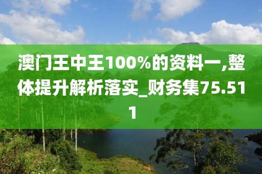 澳门王中王100%的资料一,整体提升解析落实_财务集75.511