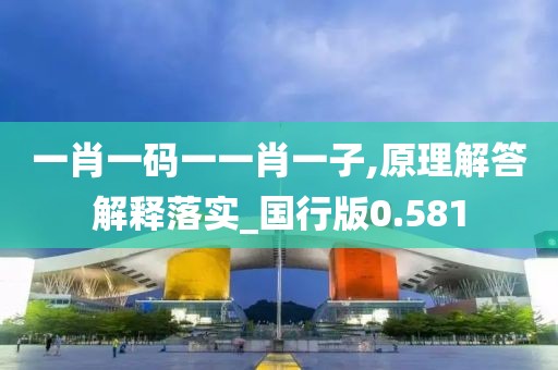 一肖一码一一肖一子,原理解答解释落实_国行版0.581