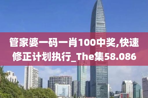 管家婆一码一肖100中奖,快速修正计划执行_The集58.086