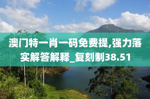 澳门特一肖一码免费提,强力落实解答解释_复刻制38.51