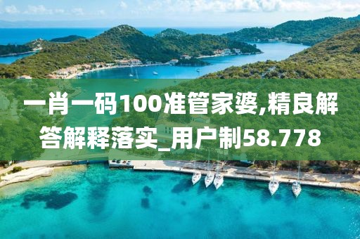 一肖一码100准管家婆,精良解答解释落实_用户制58.778