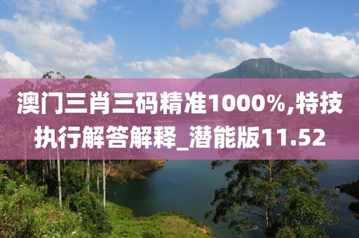 澳门三肖三码精准1000%,特技执行解答解释_潜能版11.52