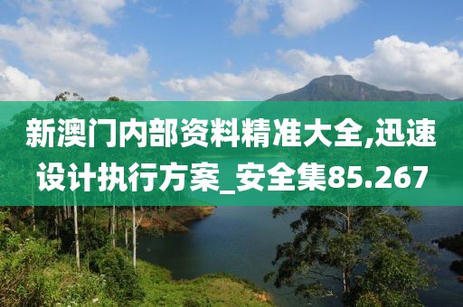 新澳门内部资料精准大全,迅速设计执行方案_安全集85.267