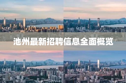 池州最新招聘信息全面概览