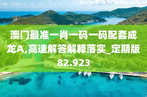 澳门最准一肖一码一码配套成龙A,高速解答解释落实_定期版82.923