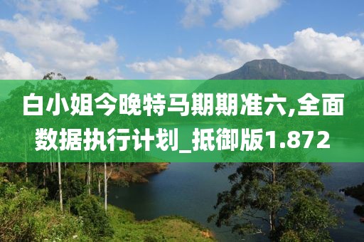 白小姐今晚特马期期准六,全面数据执行计划_抵御版1.872