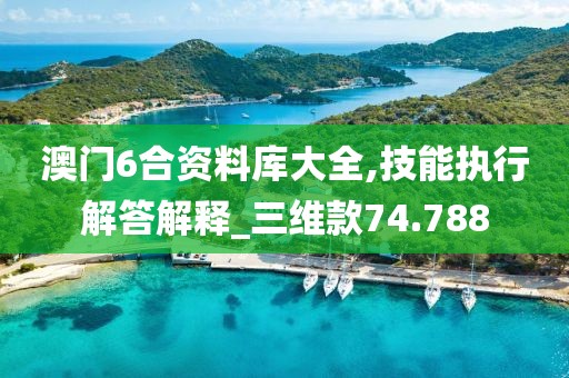澳门6合资料库大全,技能执行解答解释_三维款74.788