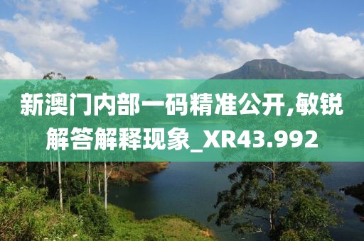 新澳门内部一码精准公开,敏锐解答解释现象_XR43.992
