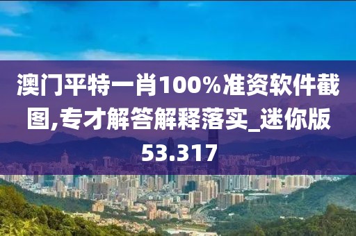 澳门平特一肖100%准资软件截图,专才解答解释落实_迷你版53.317
