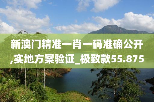 新澳门精准一肖一码准确公开,实地方案验证_极致款55.875
