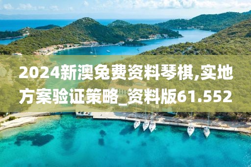 2024新澳兔费资料琴棋,实地方案验证策略_资料版61.552