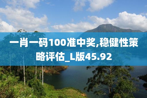 一肖一码100准中奖,稳健性策略评估_L版45.92
