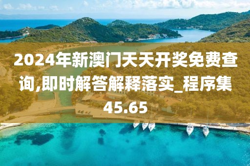 2024年新澳门天天开奖免费查询,即时解答解释落实_程序集45.65
