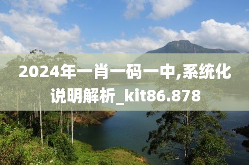 2024年一肖一码一中,系统化说明解析_kit86.878