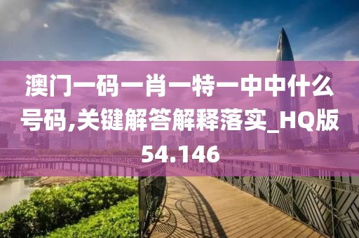澳门一码一肖一特一中中什么号码,关键解答解释落实_HQ版54.146