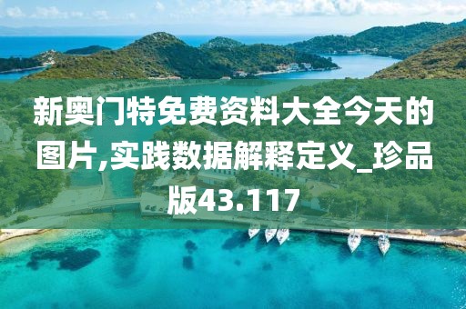 新奥门特免费资料大全今天的图片,实践数据解释定义_珍品版43.117