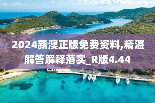 2024新澳正版免费资料,精湛解答解释落实_R版4.44