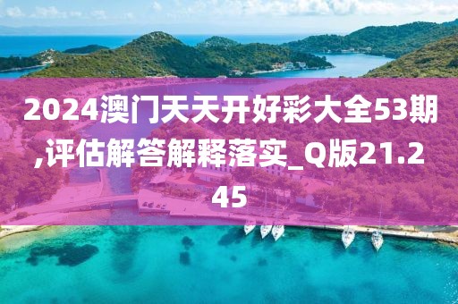 2024澳门天天开好彩大全53期,评估解答解释落实_Q版21.245