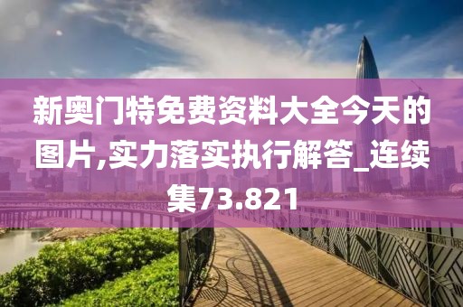 新奥门特免费资料大全今天的图片,实力落实执行解答_连续集73.821