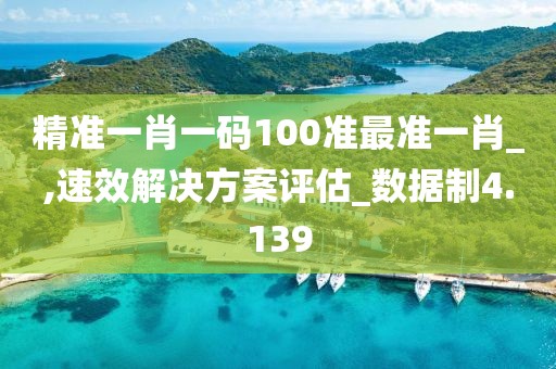 精准一肖一码100准最准一肖_,速效解决方案评估_数据制4.139
