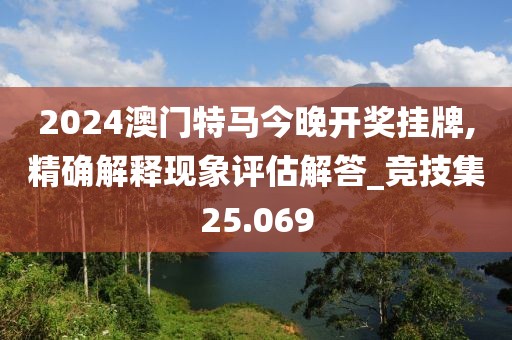2024澳门特马今晚开奖挂牌,精确解释现象评估解答_竞技集25.069