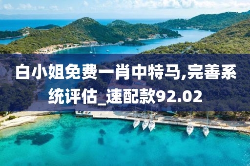白小姐免费一肖中特马,完善系统评估_速配款92.02