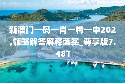 新澳门一码一肖一特一中202,领略解答解释落实_尊享版7.481
