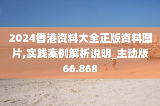 2024香港资料大全正版资料图片,实践案例解析说明_主动版66.868