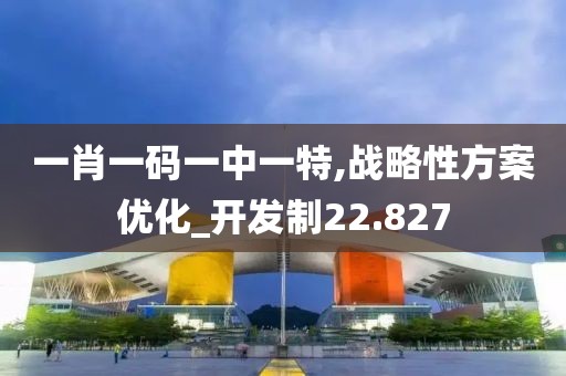 一肖一码一中一特,战略性方案优化_开发制22.827