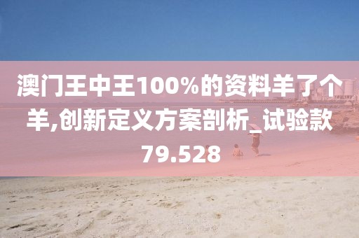 澳门王中王100%的资料羊了个羊,创新定义方案剖析_试验款79.528
