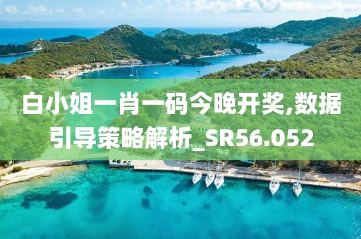 白小姐一肖一码今晚开奖,数据引导策略解析_SR56.052