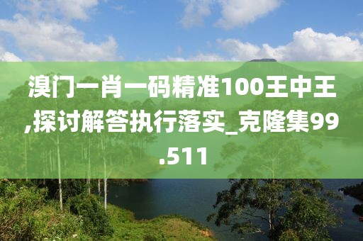 溴门一肖一码精准100王中王,探讨解答执行落实_克隆集99.511