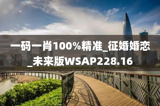 一码一肖100%精准_征婚婚恋_未来版WSAP228.16