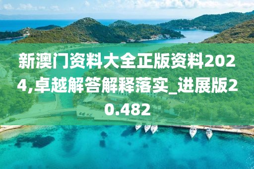 新澳门资料大全正版资料2024,卓越解答解释落实_进展版20.482