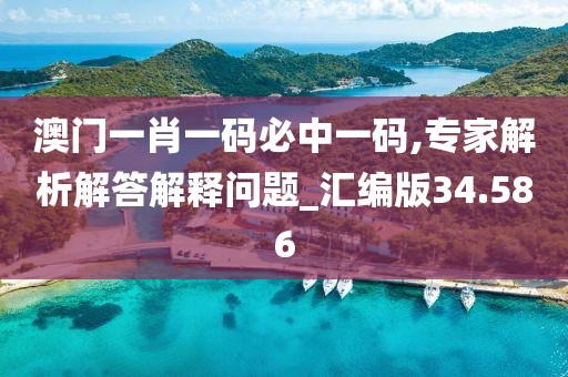 澳门一肖一码必中一码,专家解析解答解释问题_汇编版34.586