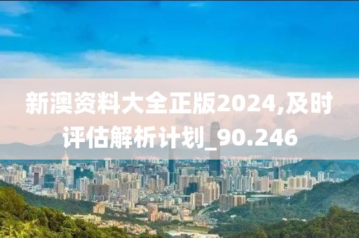 新澳资料大全正版2024,及时评估解析计划_90.246