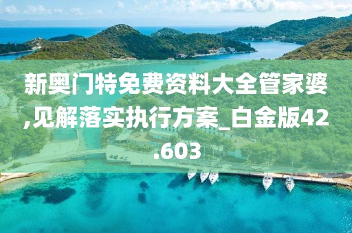 新奥门特免费资料大全管家婆,见解落实执行方案_白金版42.603