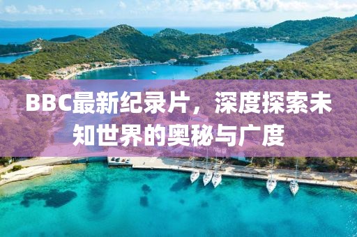 BBC最新纪录片，深度探索未知世界的奥秘与广度