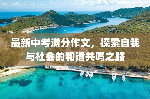 最新中考满分作文，探索自我与社会的和谐共鸣之路