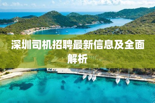 深圳司机招聘最新信息及全面解析