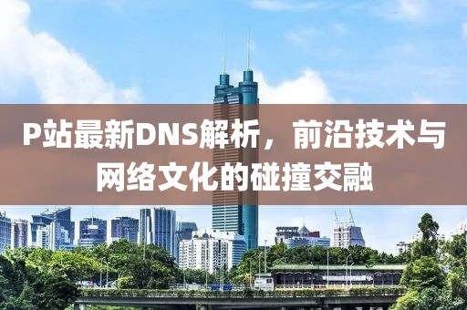 P站最新DNS解析，前沿技术与网络文化的碰撞交融